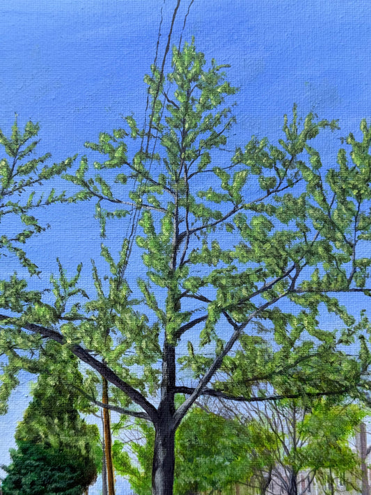 Detalle de copa verde y tronco oscuro sobre cielo azul