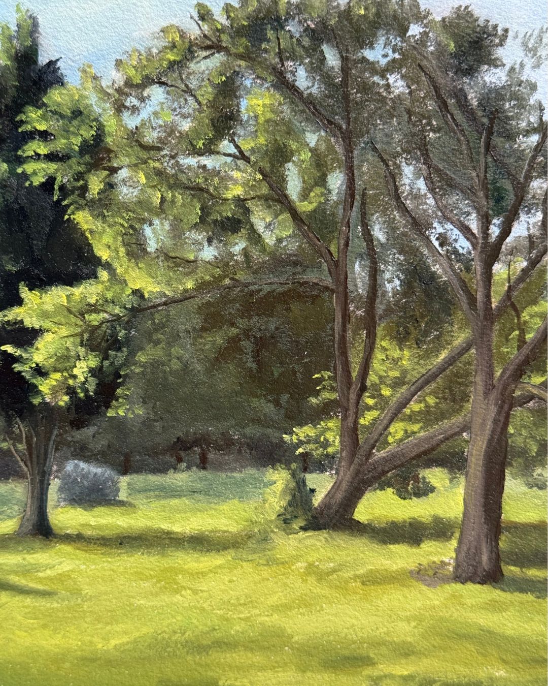 Luz de la tarde